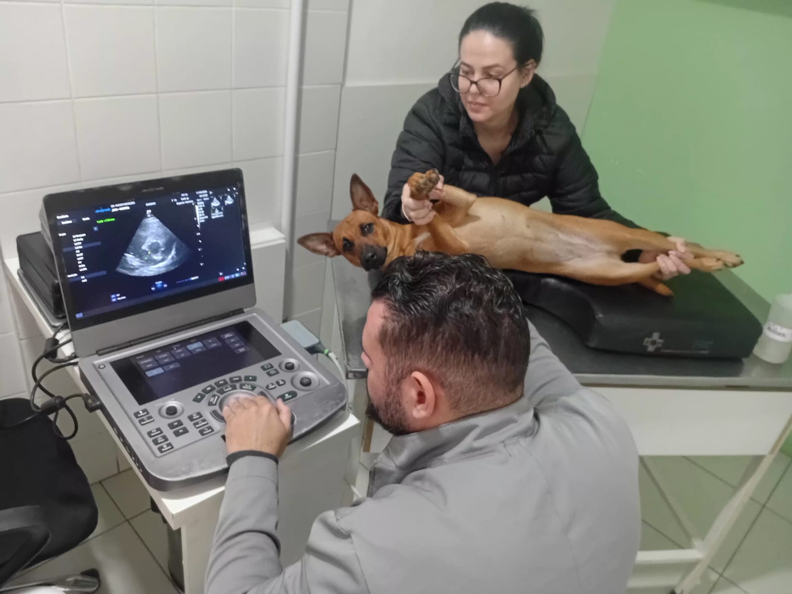Equipe DogDoc realizando ecocardiograma